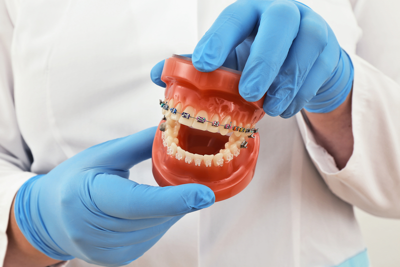 A medical professional holding a model of teeth with braces