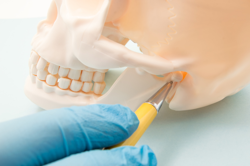 Dentist pointing at the temporomandibular joint on a fake skull